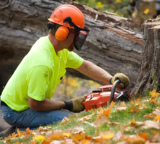 tree services Fuquay-Varina